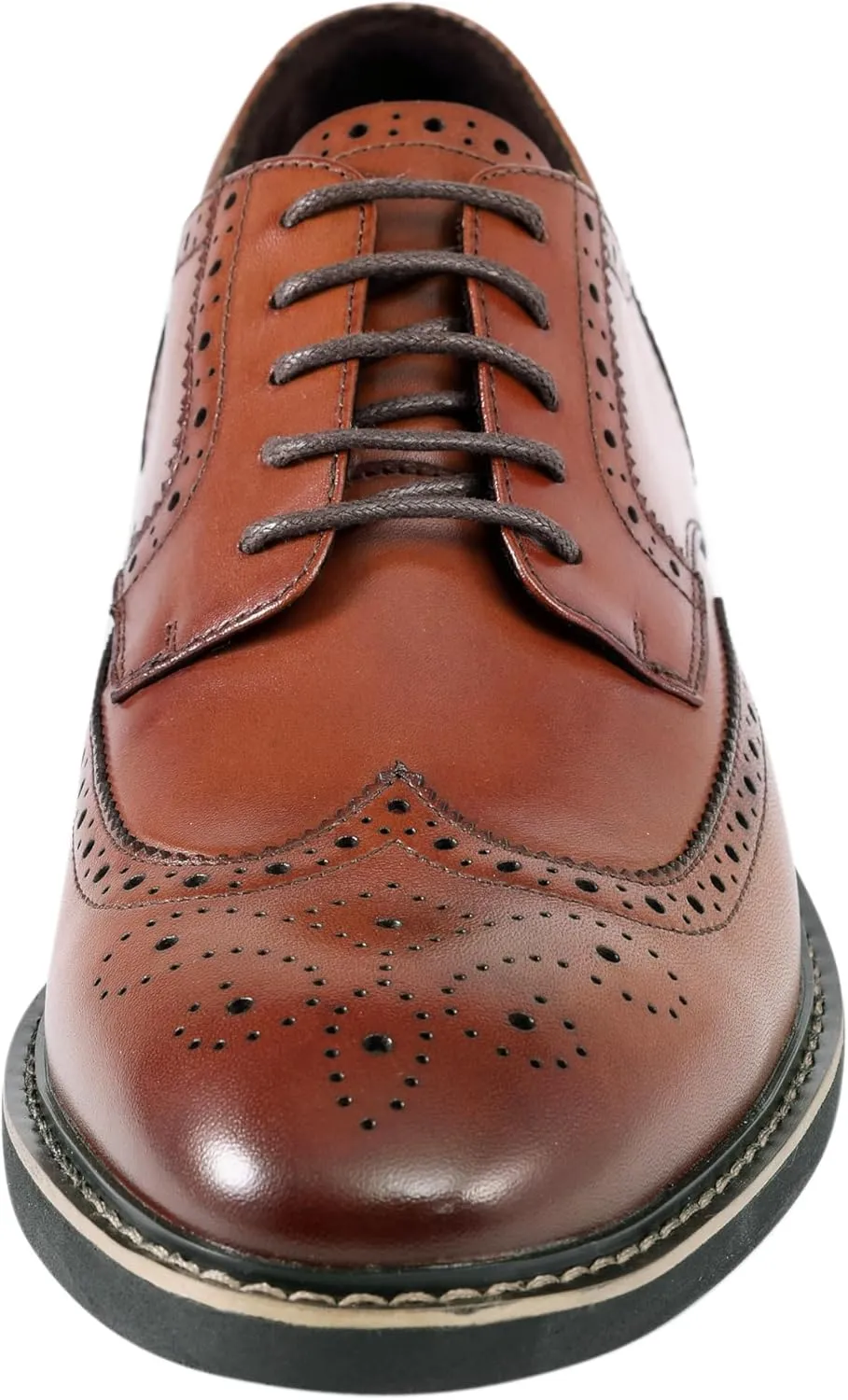 Asher Green AG100 - Men's Dress Shoes - Genuine Calf Leather Wingtip Oxfords - Two Tone and Multi Tone Mens Dress Shoes