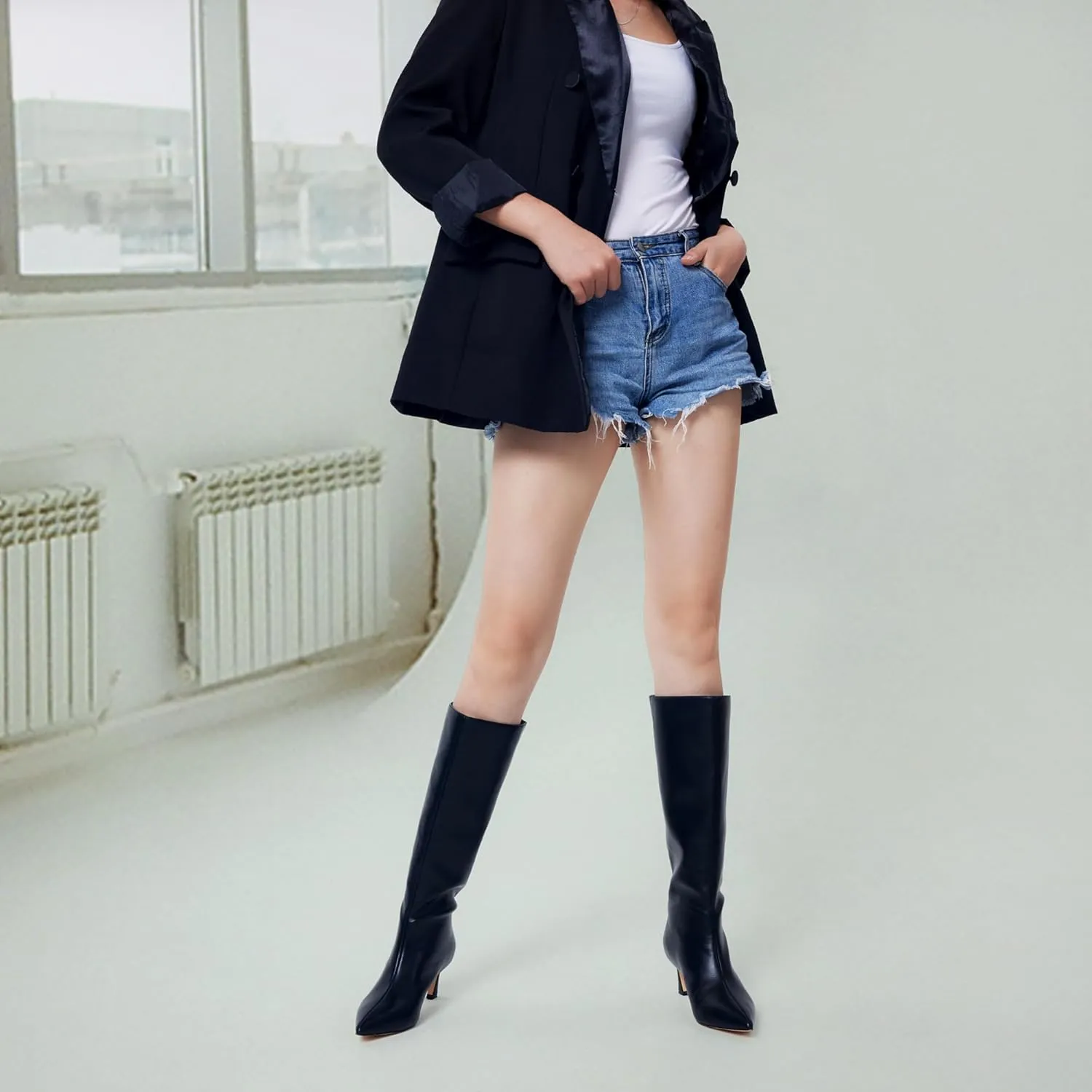 GENSHUO Knee High Boots Women Low Kitten Heel Long Tall Boots with Pointed Toe Winter Fall Sexy Fashion Comfortable Dress Shoes